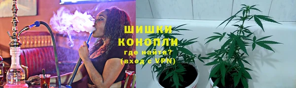 стафф Бородино