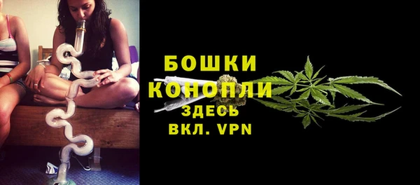 стафф Бородино