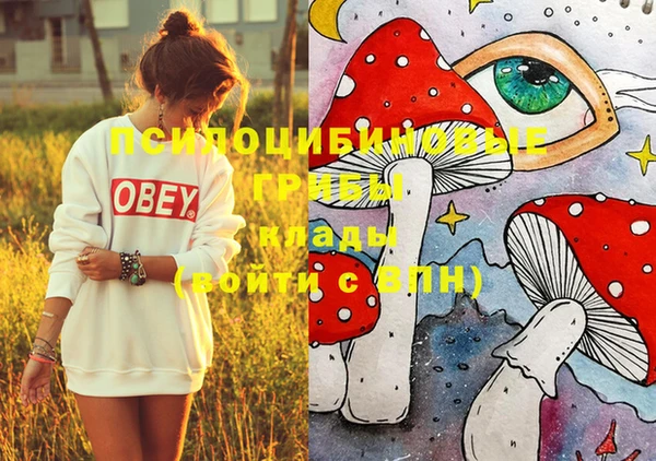 стафф Бородино