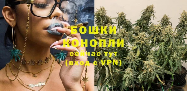 стафф Бородино