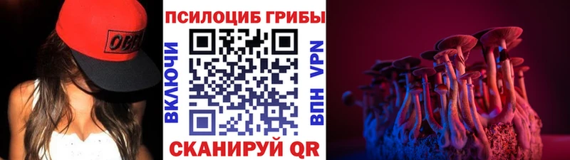 Купить закладки Лиски Галлюциногенные грибы Magic Shrooms